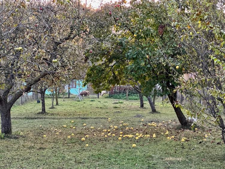 Casă cu 4 camere cu Teren 2224 Mp în Central