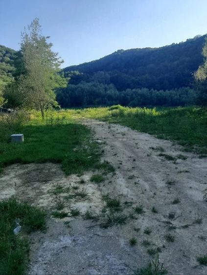 Teren de 2900 mp, în Secu