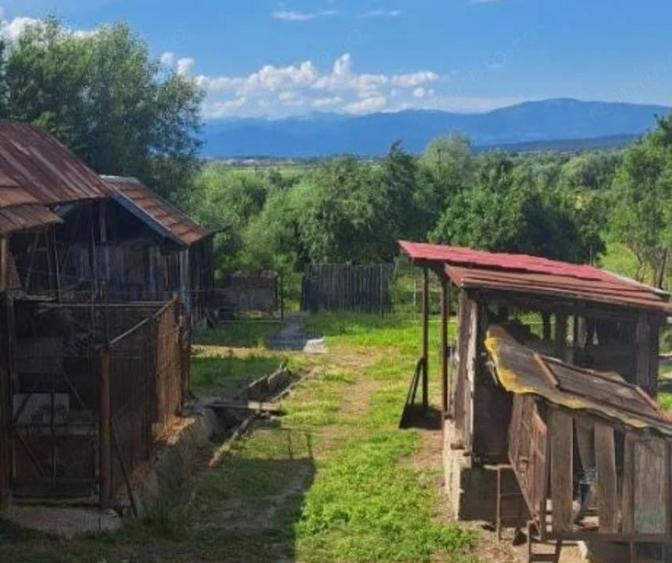 Casă cu Teren 7661 Mp în Șomănești