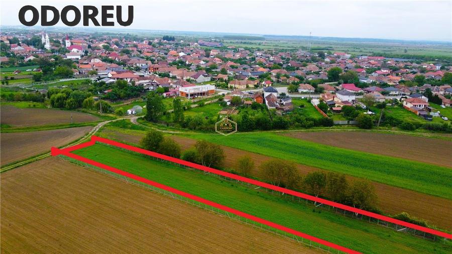 Teren agricol extravilan de 3600 mp, în Est