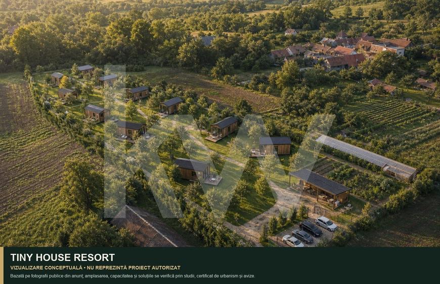 Teren Construcții intravilan de 7979 mp, în Delenii
