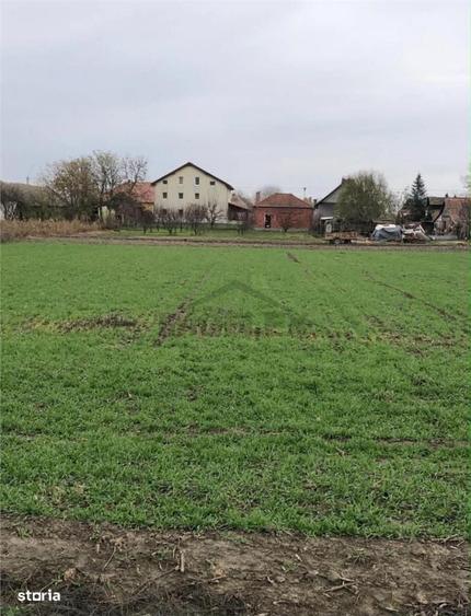 EXCLUSIVITATE ! Casa pe 3 etaje de vanzare in Cenad la pret de apartam - 9