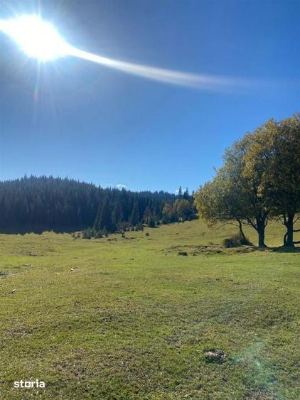 Teren extravilan la Poiana Horea - Belis - 16.000 mp - 4