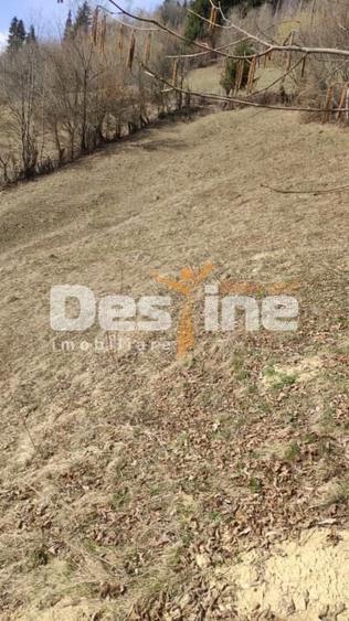Teren agricol extravilan de 5000 mp, în Rucăr