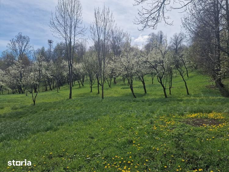 Teren de 12000 mp, în Ghioșești