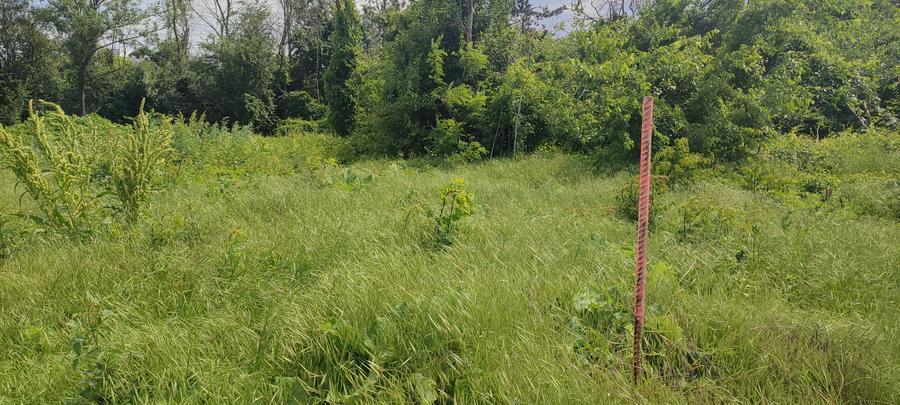 Teren Construcții intravilan de 1000 mp, în Lacul Tei
