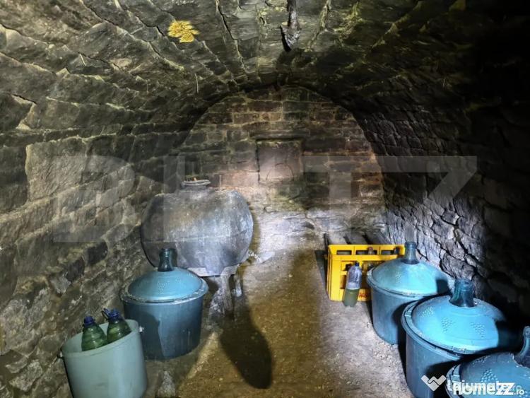 Casă cu 4 camere cu Teren 3000 Mp în Răducăneni