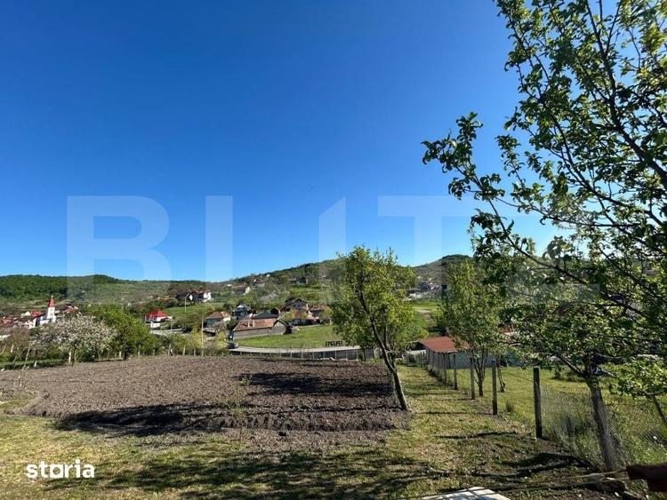 Casă cu 4 camere cu Teren 23850 Mp în Central