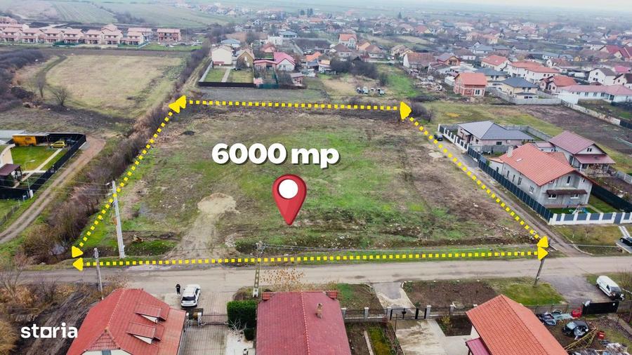 Teren de 6000 mp, în Săcălaz