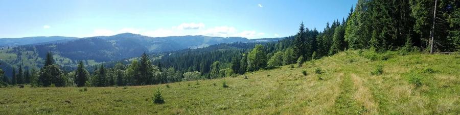 Spațiu comercial, în Dorna-Arini
