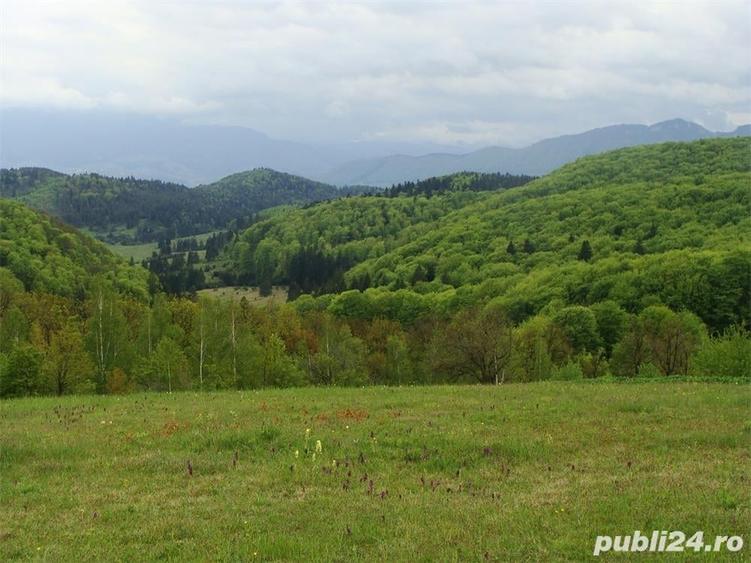 Teren de 11600 mp, în Poiana Mărului