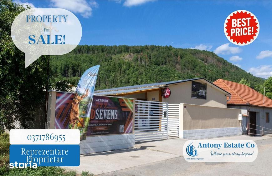 Spațiu comercial, de 195 mp, în Budureasa