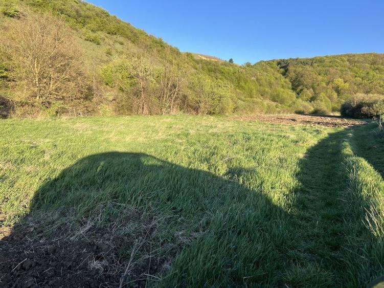 Spațiu comercial, în Sava