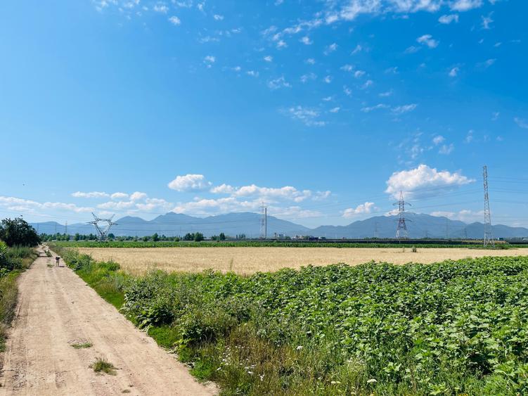 Teren agricol intravilan de 16080 mp, în Sânpetru