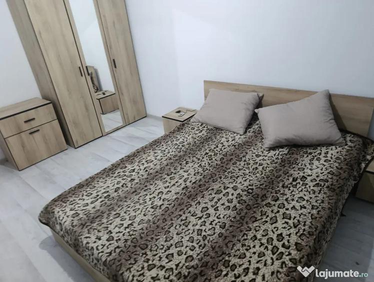 Apartament cu 2 camere nedecomandat în Valea Lupului