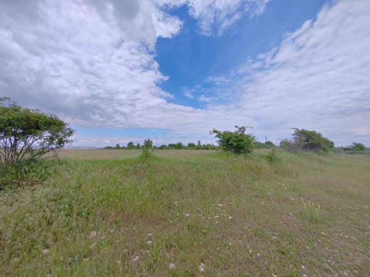 Teren de 114000 mp, în Ariceștii Rahtivani