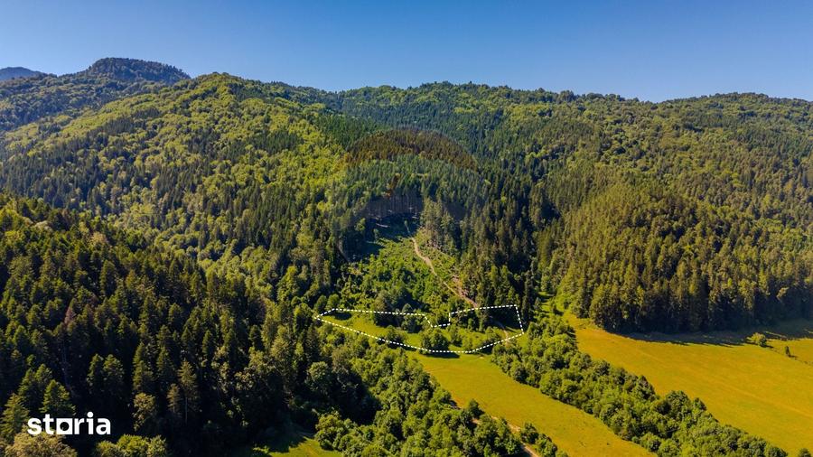 Teren de 6000 mp, în Brădet