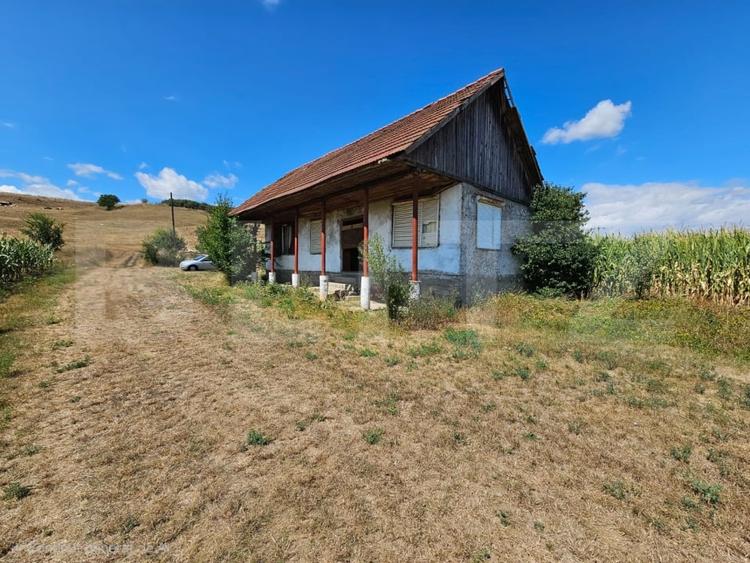 Teren Construcții extravilan de 2901 mp, în Unirea