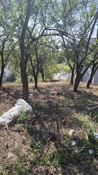 Teren Construcții intravilan de 3600 mp, în Podgoria