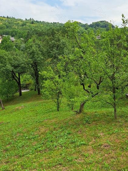 Teren de 4500 mp, în Moroeni