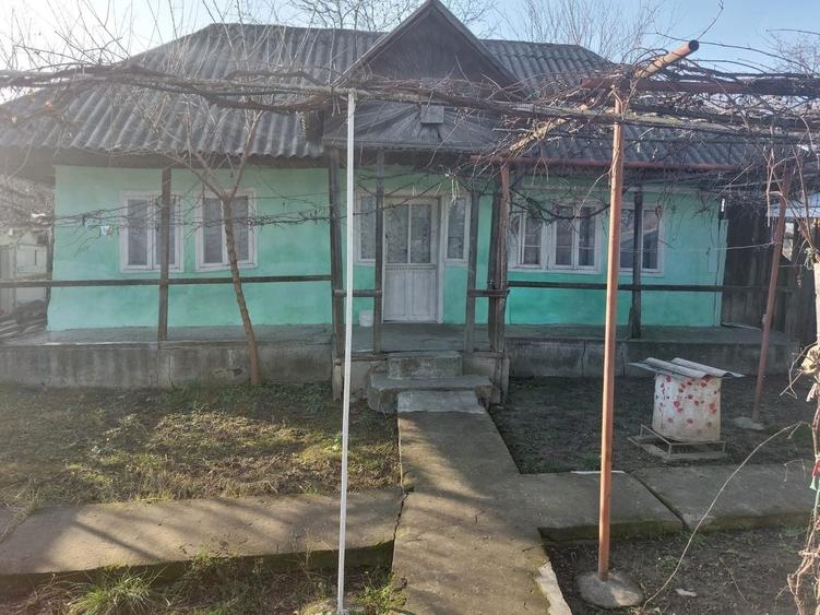 Casă cu 3 camere în Soci