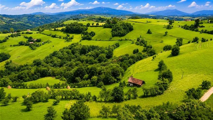 Teren Construcții intravilan de 10335 mp, în Poiana Mărului