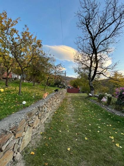 Casa cu gradina de vanzare - 4