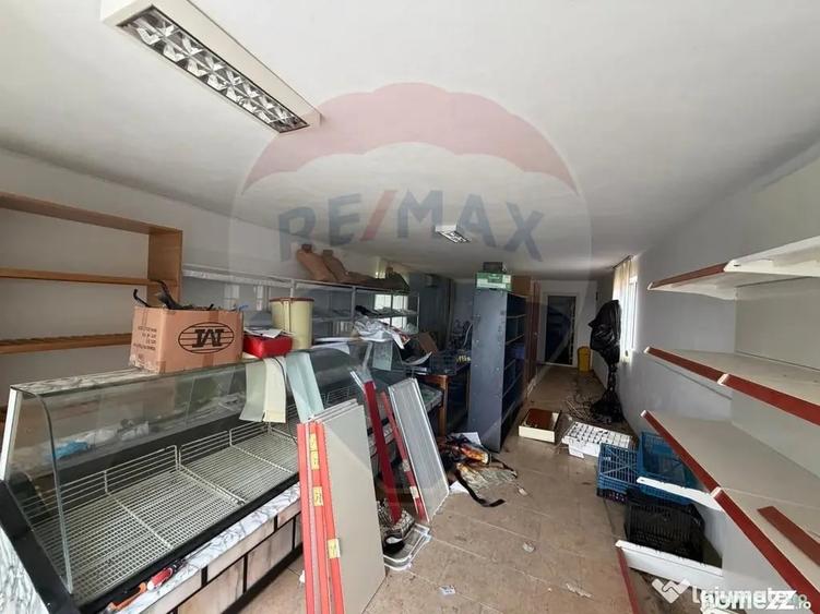 Casă cu 5 camere cu Teren 1513 Mp în Câmpineanca