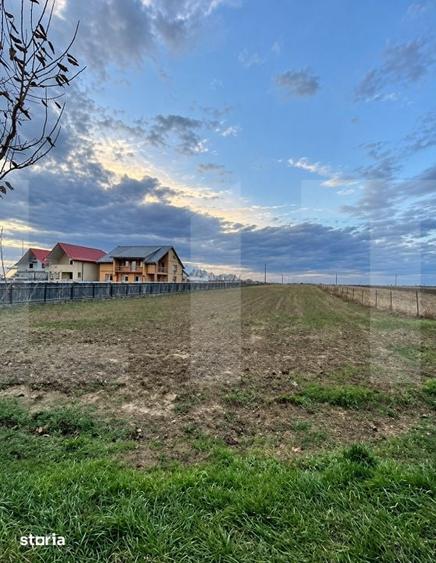 Teren extravilan 4.500 mp, Vladeni, acces E58 - 1