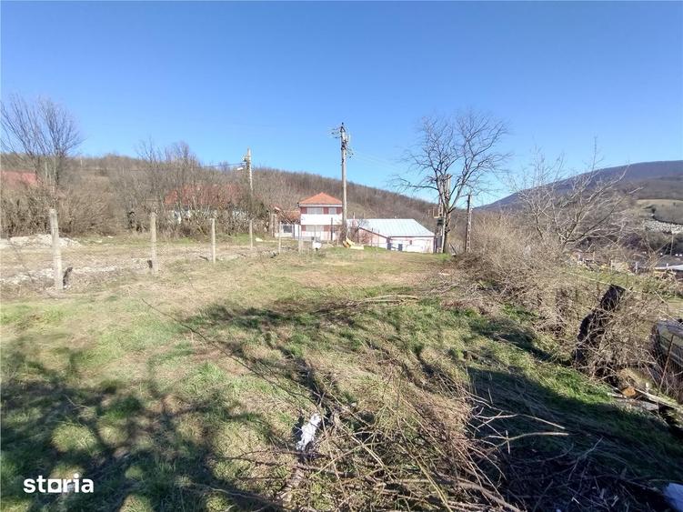 Teren de 2500 mp, în Central