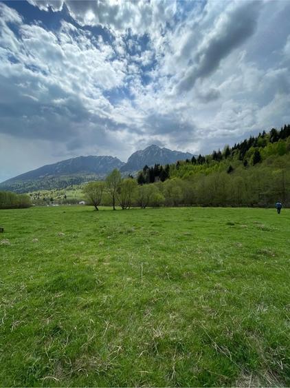 Teren de 3981 mp, în Plaiul Foii