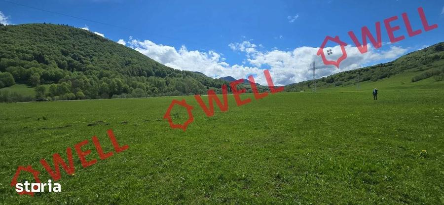 Teren de 5310 mp, în Vama Buzăului