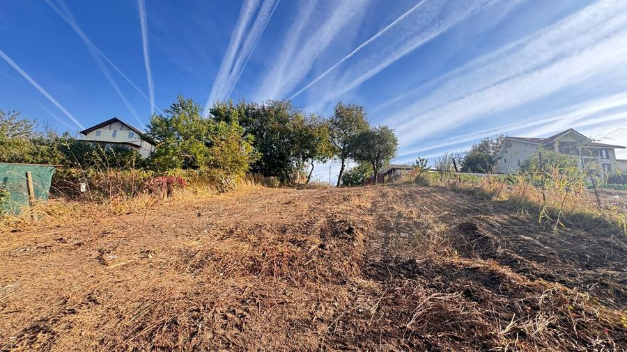 Teren Construcții intravilan de 1333 mp, în Moara Vlăsiei