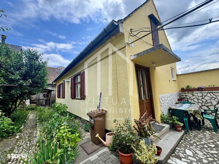 Casa individuala, 2 camere, sura 100mp, 290mp teren, Turnisor - 13