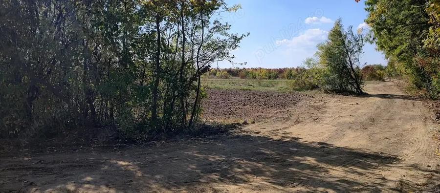 Teren de 3050 mp, în Ordoreanu