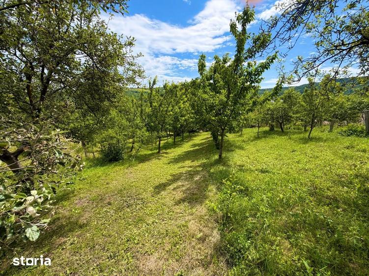 Casă cu 3 camere cu Teren 2974 Mp în Central