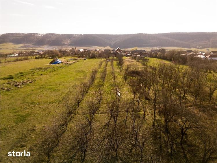RECO Teren intravilan de vanzare in Betfia locatie linistita, ideal - 1