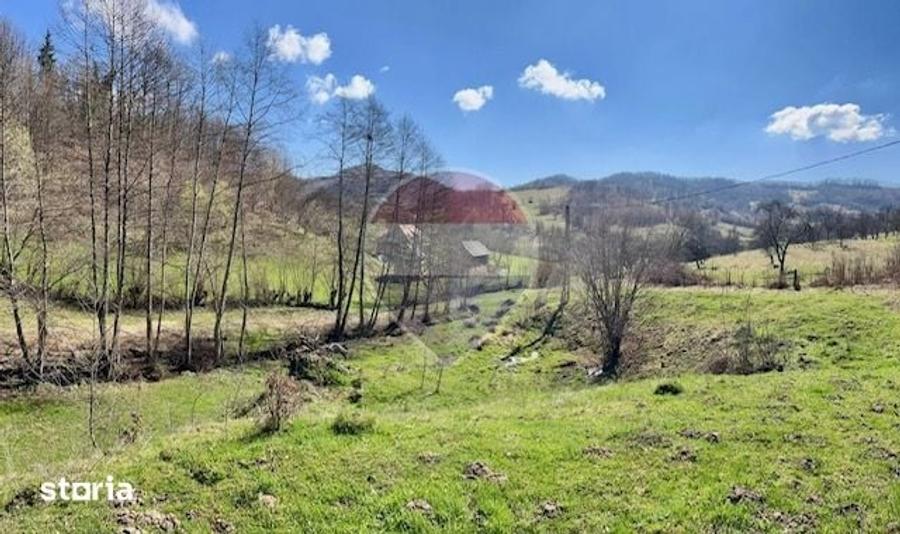Teren de 7495 mp, în Bârsana