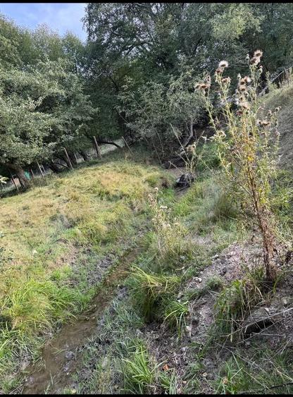 Teren de 1000 mp, în Central