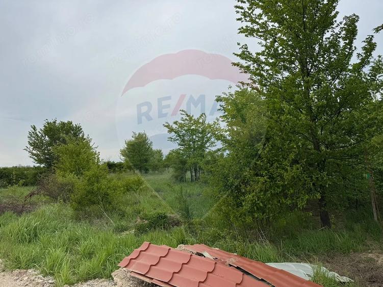 Teren de 960 mp, în Ciolpani