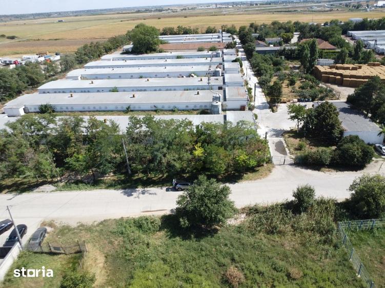 Teren de 5000 mp, în Central