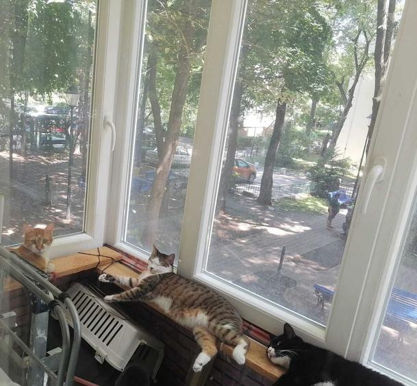 Apartament cu 2 camere semidecomandat în Berceni