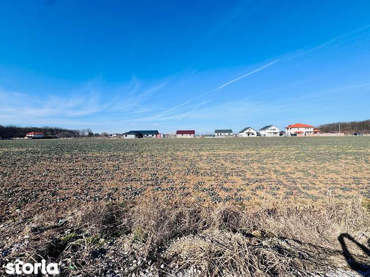 Teren de 1600 mp, în Snagov