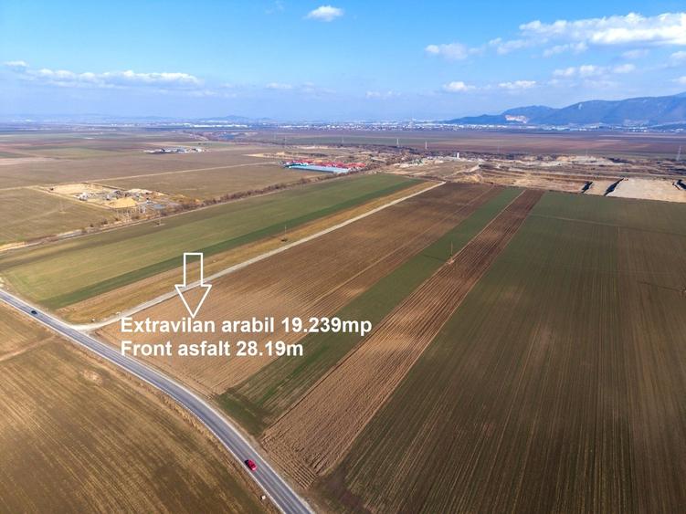 Teren agricol extravilan de 19239 mp, în Vulcan