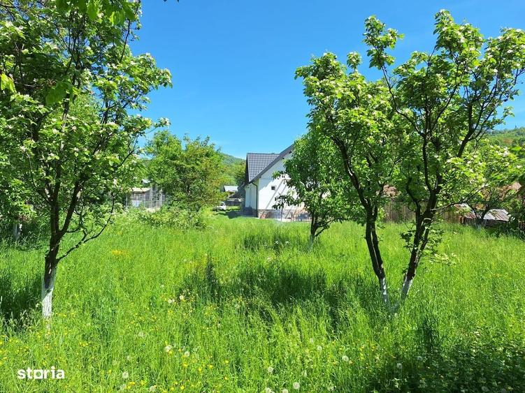 Casă cu 3 camere cu Teren 2100 Mp în Ghioșești