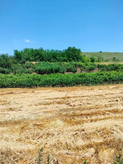 Casă cu 4 camere în Canlia