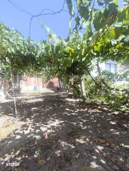 Casă cu 3 camere cu Teren 1435 Mp în Central