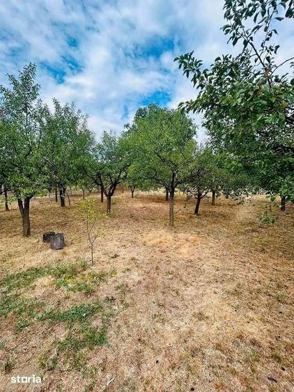 Casă cu Teren 1400 Mp în Sânmartin