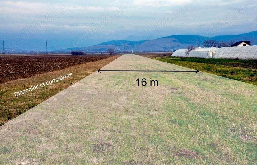 Teren de 12000 mp, în Sântuhalm