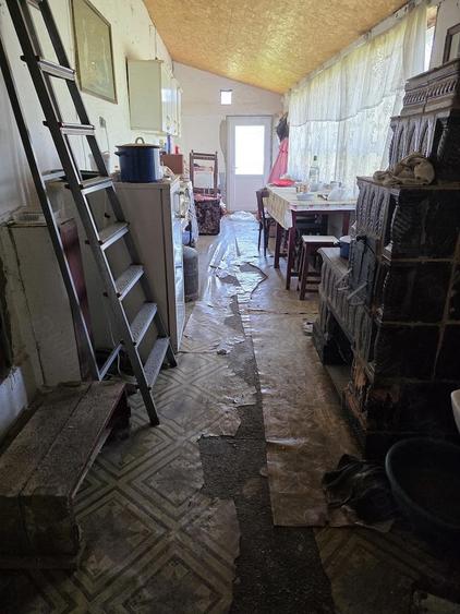 Vand casa deosebita in Izimsa, Judetul Mehedinti - 8